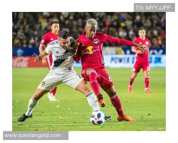 纽约城与波兰特伐木的对决谁能在城市与自然之间找到平衡